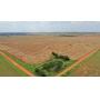 160± acres surface only