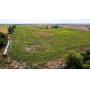 80± ACRES * GRANT COUNTY, OKLAHOMA * MEDFORD AREA