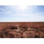 160± ACRES * CRP * BALKO * BEAVER COUNTY OKLAHOMA