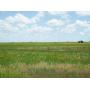 160± ACRES * GRANT COUNTY, OK. * MEDFORD AREA
