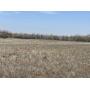 w 40 acres in ne ¼ 15-22-6