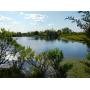 6/20 MOONENE E. BLASER TRUST AUCTION