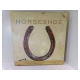 20" x 20" Print on Canvas - Horseshoe Wall Hanger