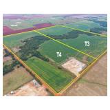 Tract 4 80 Acres MOL