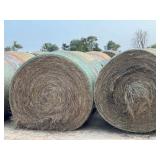 New Bermuda Spriggs Ozark New Bermuda Spriggs Ozark