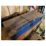 Metal storage box with bungees