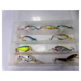 Excalibur Floater - Suspending Mystic Shad-R