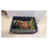 Foldable Grey Storage Tote W/4 Christmas Garland