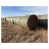 40 Round Native Hay Bales  Clean/Sprayed