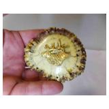Vintage Handcraft ed Elk Antler Burr Belt Buckle