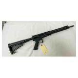 Palmentto State Rifle