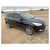 2014 Ford Escape SUV