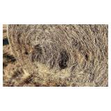 32 Round Bales Native w/Stickers