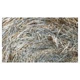 25 Round Bales Ozark & Crabgrass Stickers