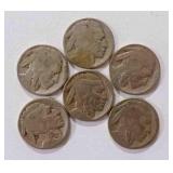 Buffalo Nickels (6)