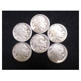 Buffalo Nickels (6)