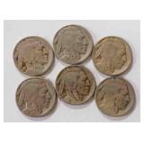 Buffalo Nickels (6)