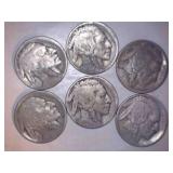 1919 Buffalo Nickel (6)