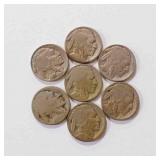 Buffalo Nickles (7)