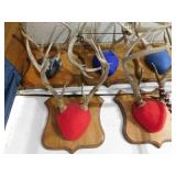 Mounts (7), Fur (1) - on west wall