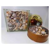 Glass Block Filled Natural Seashells 11ï¿½" X 11ï¿½"