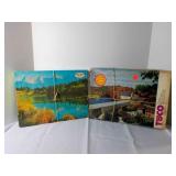 2 - 1000 pieces Jigsaw Puzzles
