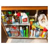 Cabinet Contents- cleaners, pest control etc.