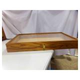 Wood & Plastic Display Box w/Hinged Lid