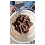 Bucket Full of Vintage Rusted Railroad Spikes