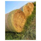 21- 5x60" Ozark Bermuda No Stickers