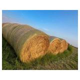 21 -5x60" Ozark Bermuda No Stickers