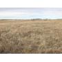 160± ACRES CROP - PASTURE WITH MINERALS