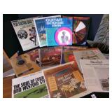 12 LP Albums-Guitar Boogie, Fun with Brushes