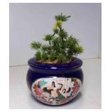 Small Mini Faux Juniper Bonsai Tree in Chinese