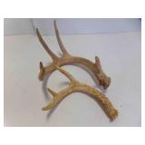 2 Antler Sheds