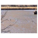 160± ACRES OF EXCELLENT WILDLIFE HABITAT