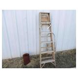 Metal Ladder & Step Stool