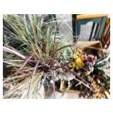 Eucalyptus, Faux Grass, Succulents, Etc. (2
