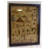 Insect Collection Shadow Box w/Multiple Dried Bugs