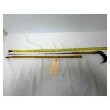 Cane/sword