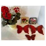 Geraniums in pot, Syroco 1968 X Butterflies
