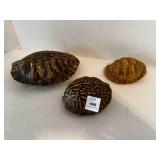 3 Empty Turtle Shells