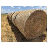 50- Round Bales of Alfalfa Mix Hay