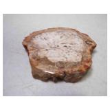 Sliced & Polished Fossilized Petrified Wood Slab