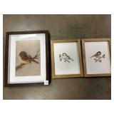 3 Frames Bird Pictures, Largest is glass 14"x11"