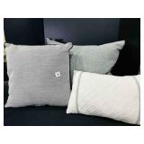 3 Decorator Pillows Largest is Feather & 24"x20"