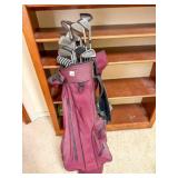 Taylor Made Golf Clubs and bag, see pictures