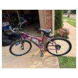 Men's Mountain Bike, Timber Trail Pacific 21-speed