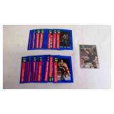 Vintage WWF Superstar Trading Cards w/a Undertaker