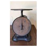 Columbia Metal Countertop Scale